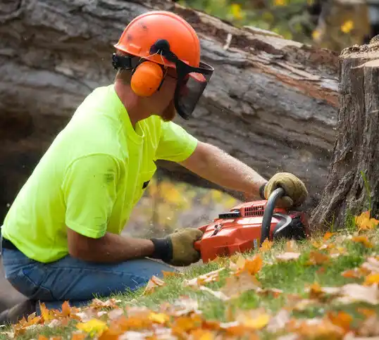 tree services Tilghman Island